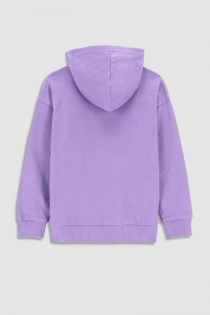 COCCODRILLO džemperis ar kapuci DIGITAL WORLD JUNIOR, violets, WC3132301DWJ-016 WC3132301DWJ-016-128