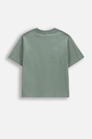 COCCODRILLO t-krekls ar īsam piedurknēm, zali, WC6143216LBD-011-098, 98 