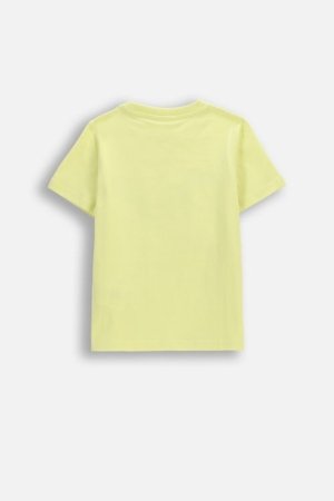 COCCODRILLO t-krekls ar īsam piedurknēm, dzelteni, cm 