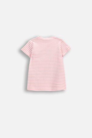 COCCODRILLO t-krekls ar īsam piedurknēm, rozā, 