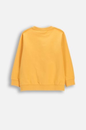 COCCODRILLO džemperis, oranžs, cm 