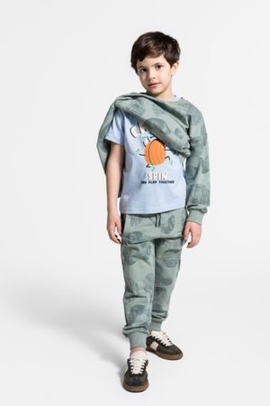 COCCODRILLO bikses SAGE TIME BOY KIDS, zaļš, WC5120103SBK-027-122, 122 cm 