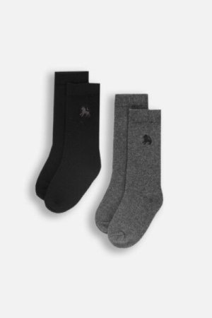 COCCODRILLO zeķes BASIC SOCKS, multicoloured, ZC4383224BAS-022-036, 36/39 cm 