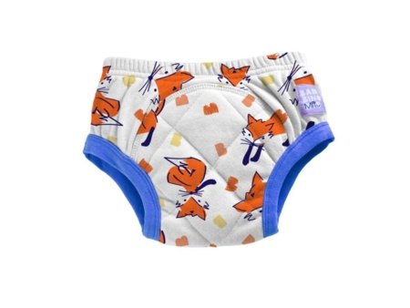 BAMBINO MIO atkārtoti lietojamas biksītes podiņmācībai 3-4 m., fuzz, TP3-4FUZ 