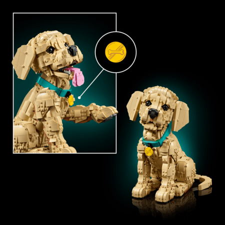 11384 LEGO® Icons Zelta retrīvera kucēns 