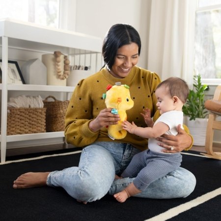 BABY EINSTEIN nomierinoša plīša rotaļlieta Seahorse Soother, dzeltena, 17400-000 