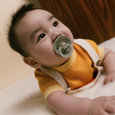 BIBS knupīši COLOUR ROUND RETRO LEAF, 6-18 mēn., 2 gab. 