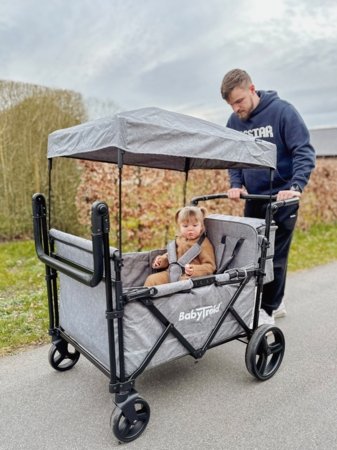 BABYTROLD ratiņi FUN, Grey, 13-04G 