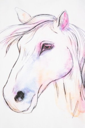 COCCODRILLO t-krekls EVERYDAY GIRL A, balti, ZC4143205VGA-001-164, 164 cm 