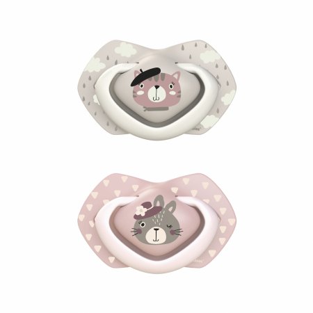 CANPOL BABIES silikona māneklītis, simetrisks BONJOUR PARIS, 18m+,2 gab,  22/649_pin 22/649_pin