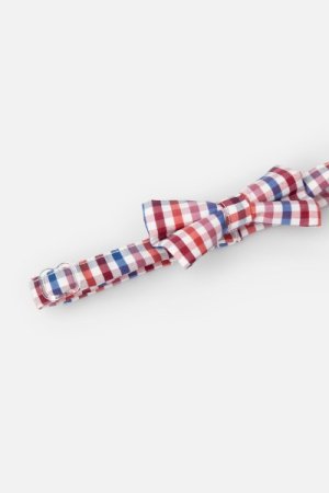 COCCODRILLO tauriņš ELEGANT BABY BOY, multicoloured, ZC3371202EBB-022   