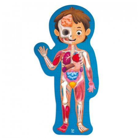 HAPE human body puzzle, E1635 E1635