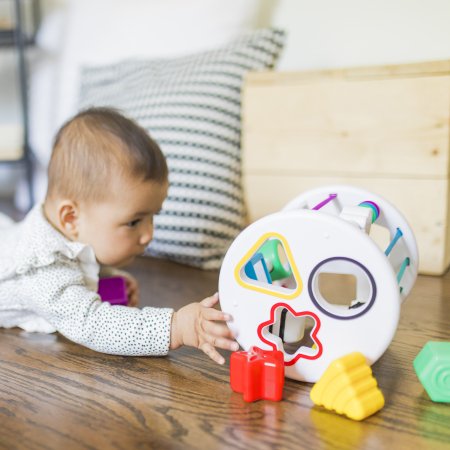 BABY EINSTEIN sensoro formu šķirotājs Zen & Cal’s Playground, 12493 