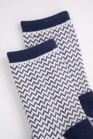 COCCODRILLO zeķes SOCKS BOY, krāsains, 