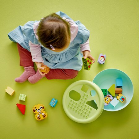10441 LEGO® DUPLO® Creative Play Formu šķirotājs: Kucēna māja 