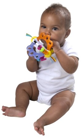 PLAYGRO izglītojošs lodīšu grabulis, 4088608 
