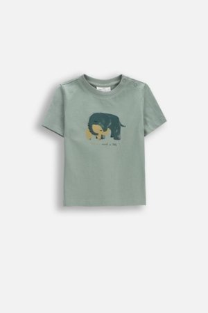 COCCODRILLO t-krekls ar īsam piedurknēm, zali,  