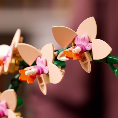 10343 LEGO® Botanical Collection Mini orhideja 