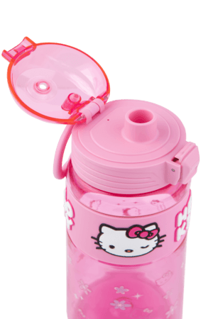 HELLO KITTY ūdens pudele, 750 ml, 20080PTR 