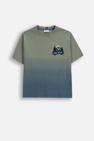 COCCODRILLO t-krekls, zali, cm 