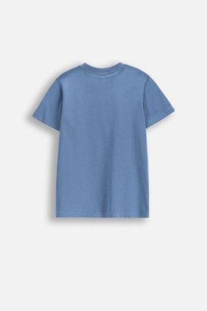 COCCODRILLO krekls ar īsām piedurknēm EVERYDAY BOY C, zils, WC5143202VBC-014-164, 164 cm 