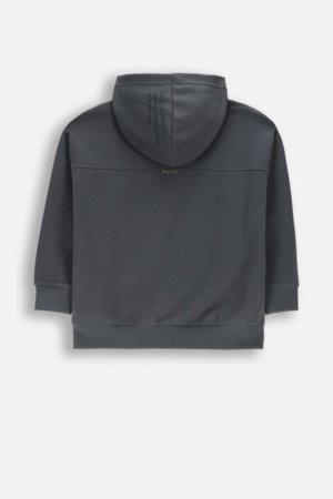 COCCODRILLO džemperis ar kapuci, graphite, WC6132302NBJ-020-158, 158 cm 