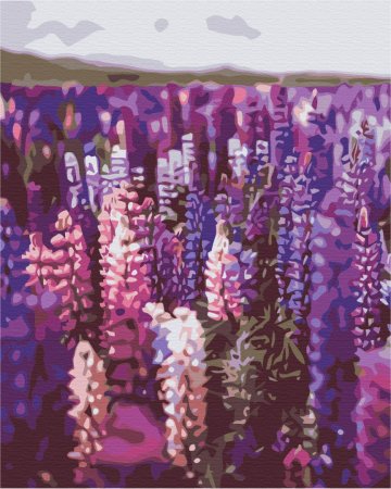 BRUSHME Izkrāso pēc numerācijas Lavender, BS52625 BS52625