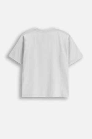 COCCODRILLO krekls ar īsām piedurknēm LICENCE BOY, pelēks, WC5143219LBD-019-164, 164 cm 