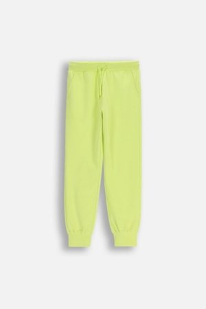 COCCODRILLO džogera bikses, lime, cm 