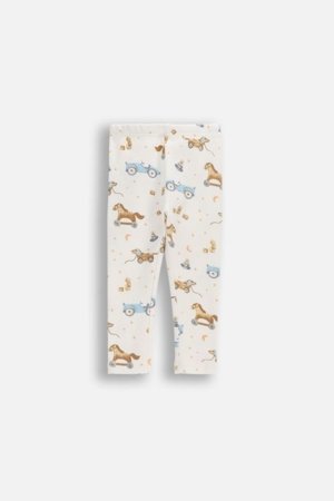 COCCODRILLO legini, krēmkrāsas, WC6122101MBN-003-086, 86 izmērs 