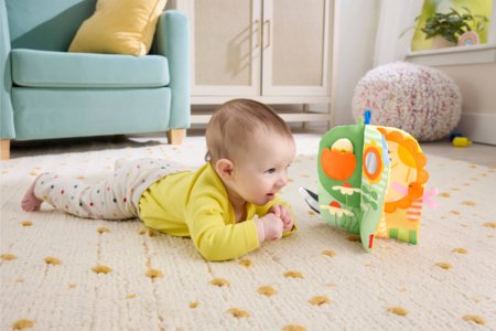 FISHER-PRICE sensorā grāmatiņa, JKP53 