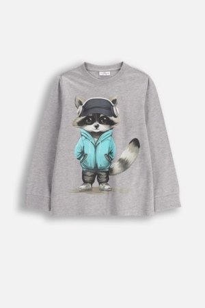 COCCODRILLO t-krekls EVERYDAY BOY A, pelēks, ZC5143105VBA-019-104, 104 cm 