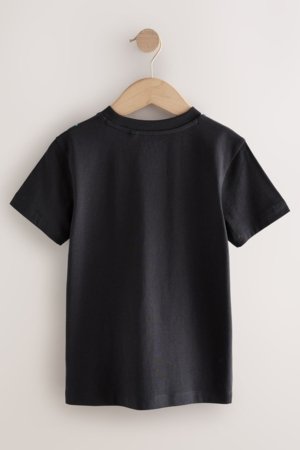 NEXT t-krekls, F23977, 110 cm 