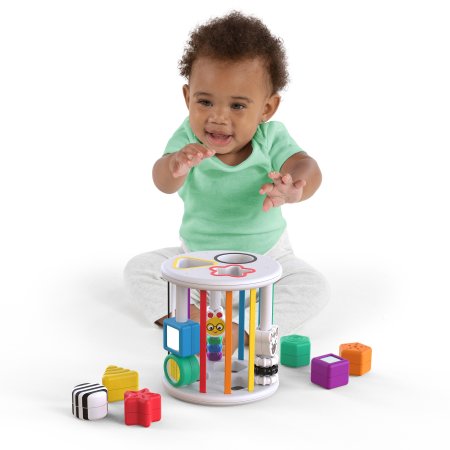 BABY EINSTEIN sensoro formu šķirotājs Zen & Cal’s Playground, 12493 