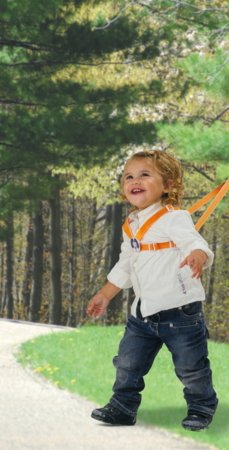 CHICCO drošības siksnas 12m+ 00068390400000