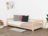 BENLEMI gulta STUDY, 90x200 cm., Transparent oil, 8589/90X200-TRA 