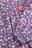 COCCODRILLO kleita HEARTS GIRL KIDS, multicoloured, ZC4129102HGK-022-122, 122 cm 