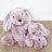 DOUDOU ET COMPAGNIE mīksts trusis 25cm, HO3007 