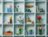 40524 LEGO® Iconic Saulespuķes 