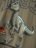 NAME IT JURASSIC WORLD t-krekls, 13247257-817A65 134-140 cm 
