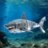 MAKEBUG 3D papīra puzle Great White Shark, MB-B-0010 