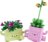 11506 LEGO® Botanicals Šūpojamie augi 