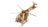 REVELL koka konstruktors Helicopter, 00611 