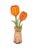 ROWOOD Koka konstruktors  Oranžā Tulpe, TW081 