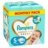 PAMPERS autiņbiksītes Premium Care, 5 izmērs 5 11-16kg, 148 gab, 81784132 