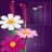 11514 LEGO® Botanicals Kosmejas 
