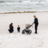 THULE ratiņi URBAN GLIDE 4-wheel, Soft Beige, 10101995 