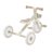 GLOBBER mācību trīsritenis Learning Trike 2in1 Plus, kokosriekstu, 737-466 