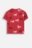 COCCODRILLO t-krekls ar īsam piedurknēm, sarkani, WC6143201GGK-017-110, 110 izmērs 