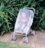 DREAMBABY universāls tīkls pret kukaiņiem, White, F204 